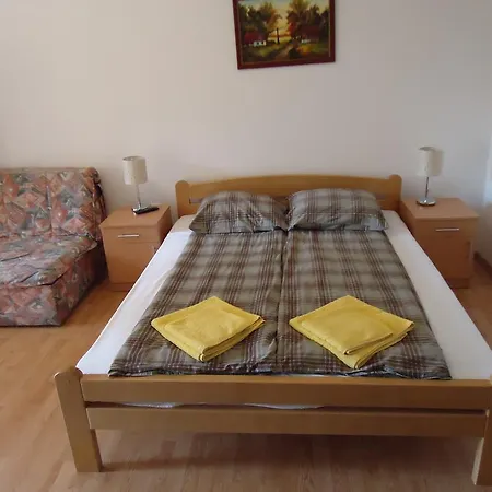 Guest house Prenociste Stara Breza