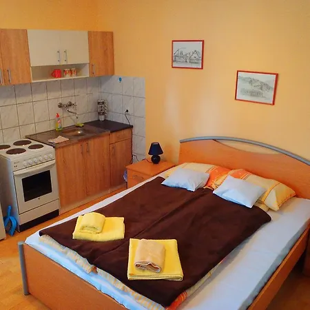 Prenociste Stara Breza Guest house *