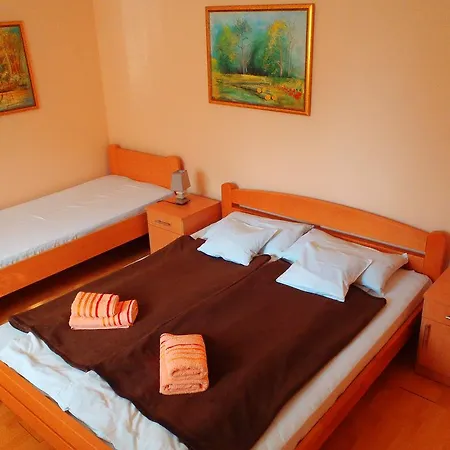 Pensjonat Prenociste Stara Breza 3*